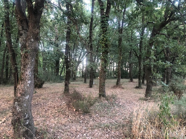 Aire camping-car  Muret (31600) - Photo 1